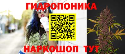 индика Кимры