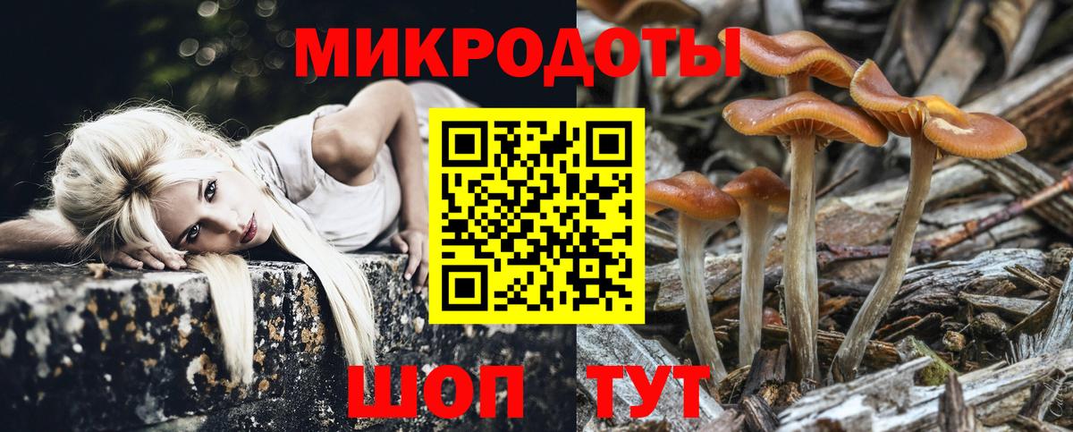Галлюциногенные грибы MAGIC MUSHROOMS  Вход с VPN  купить  цена  Кохма 